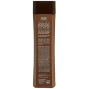 Brazilian Blowout Volume Anti Frizz Shampoo and Conditioner - 12 oz