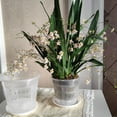 thumbnail image 4 of Transparent Root-Controlled Orchid Planting Pot Plastic Flower Pot Orchid Planter Flowerpot Tray Plant Growth Container Box 160mm, 4 of 7