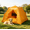 A10 Ginger L, variant on Portable and foldable outdoor shade cat tent dog tent, L Size Green Outdoor Pet Shelter Tent, Foldable Pet Bed for Camping Picnic Park Use