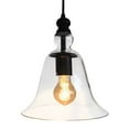 thumbnail image 4 of Warehouse of Tiffany Liana 1-light Adjustable Cord 8-inch Clear Glass Edison Pendant with Bulb - 10.83' x 10.83' x 17.32', 4 of 4