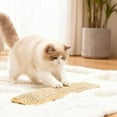 thumbnail image 5 of Interactive Catnip Chew Toy with 6000mg Organic Catnip, Soft Sisal Material Catnip Pillow & Dual Rope for Scratching, Kicking and Teeth Cleaning Play, 5 of 8