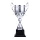 thumbnail image 1 of Trofeos de premio Trofeo pequeño para niños Copa de trofeo de premio para fútbol Fútbol Béisbol Plata S, 1 of 9