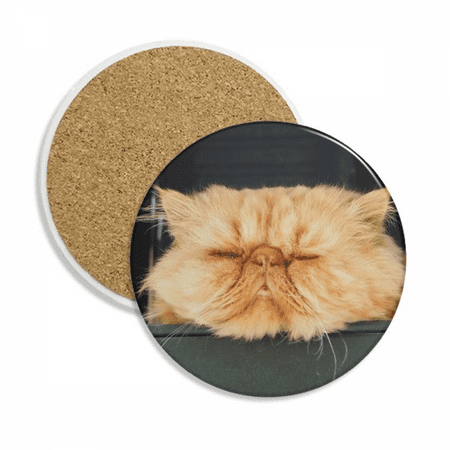 

Animal Funny Yellow Cat Shoot Coaster Cup Mug Tabletop Protection Absorbent Stone