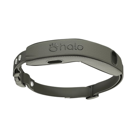 Halo Collar 4 Pro Case + Strap Kit