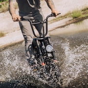 GOTRAX Ranger16 Adult Electric Bike - 36V 20 MPH Speed, 24 Mile Range, 16 x 3 Fat Tires, Moped Style, Black