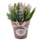 thumbnail image 1 of 1 pieza de planta artificial de simulación de bonsái, planta de albahaca falsa, bonsái en maceta, decoración de escritorio para el hogar, la oficina y el armario (rosa), 1 of 6