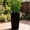 Black, variant on Fehomix 30 Inch Self-Watering Planters Outdoor Indoor, Large Tall Flower Pot with Drainage Holes & Water Level Gauge, Weather-Resistant Faux Rattan Planter for Patio Garden, Porch, Backyard, Black