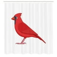 thumbnail image 2 of Ambesonne Cardinal Shower Curtain, Cartoon Red Bird Drawing, 69"Wx84"L, Dark Pink and Slate Blue, 2 of 4