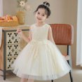 thumbnail image 3 of KAWELL Flower Girls Party Dress Embroidery Sleeveless Rainbow Mesh Tulle Princess Lace Ball Gown Prom, 3 of 3