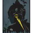 thumbnail image 4 of DC Comics Batman The Bat And The Cat Kids Silk Touch Throw Blanket, 4 of 5