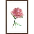 thumbnail image 2 of Marmont Hill - "Rose Colored Peony" by Michelle Dujardin Framed Painting Print, 2 of 4