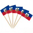 thumbnail image 1 of Banderines de palillo AhfuLife Haití, 100 piezas, doble cara, 1 of 7
