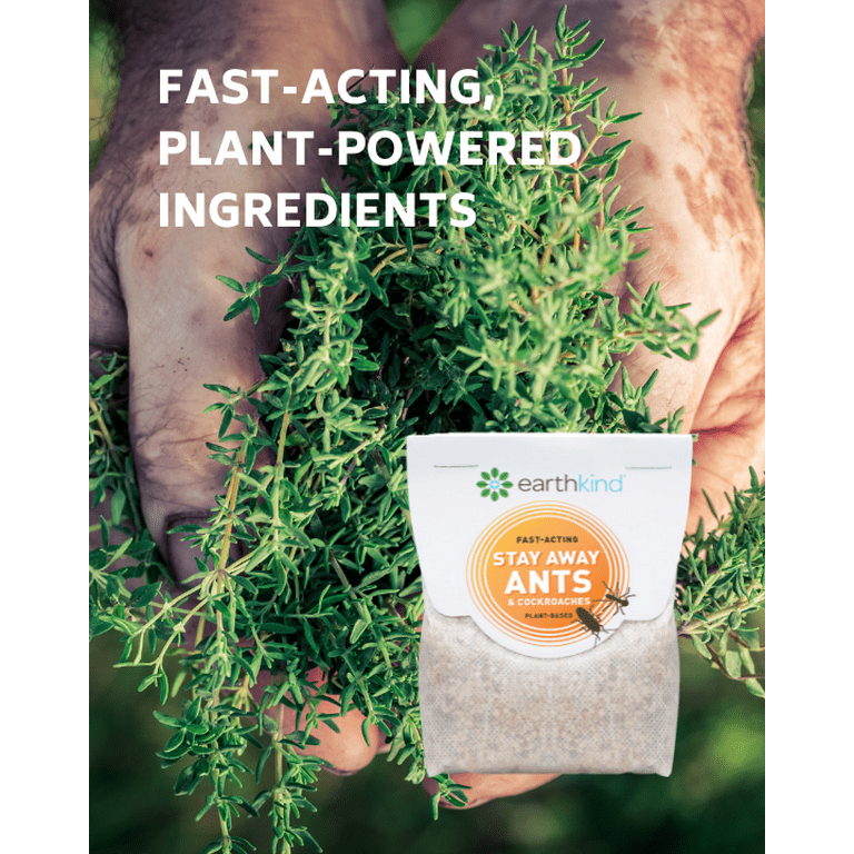 Plants That Will Actually Keep Ants Away Plants That Repel, 41 OFF