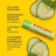 thumbnail image 3 of Burt's Bees Lip Balm Pack, 4 Pack, 0.15 Ounce Tubes, 3 of 13