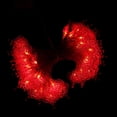 thumbnail image 4 of Luz de Hadas Del Festival de Primavera, Linterna Roja de año , Luces Colgantes de 3 M 20, Luces LED de Cadena para La Decoración Del Jardín Del de gran nudo Colco Luces de hadas, 4 of 7