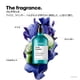 thumbnail image 3 of L'Or&eacute;al Professionnel Scalp Advanced | Shampoo anti-sensibilidad | Limpia y calma el cuero cabelludo | Formulado con niacinamida | Aprobado por dermat&oacute;logos | Para todo tipo de c, 3 of 6