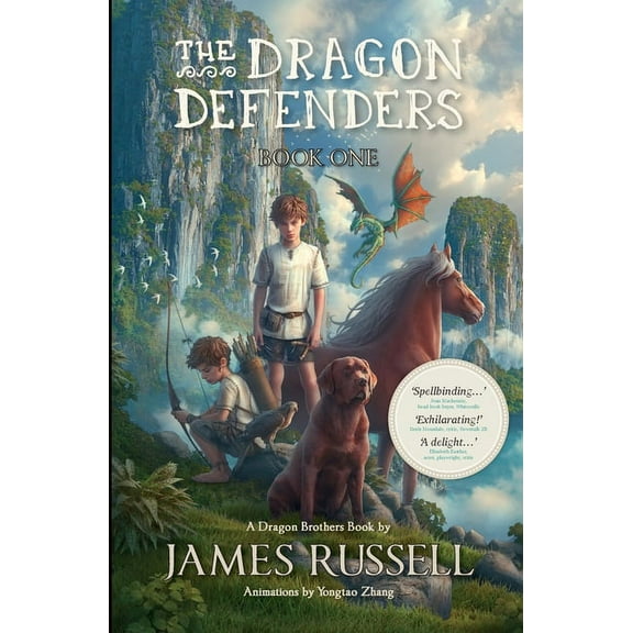 Pre-Owned The Dragon Defenders: Book One (Paperback) 0473376210 9780473376215