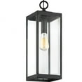 thumbnail image 2 of Quoizel Westover 1-Light Earth Black Mini Pendant, 2 of 9
