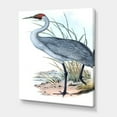 thumbnail image 3 of Designart ' Ancient Australian Birds V ' Traditional Canvas Wall Art Print, 3 of 4