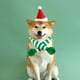 thumbnail image 4 of Collar para Gatos, Babero de Punto para Mascotas, Joyería de Lana, Bufanda Ajustable para Navidad, Decoración, 4 of 6