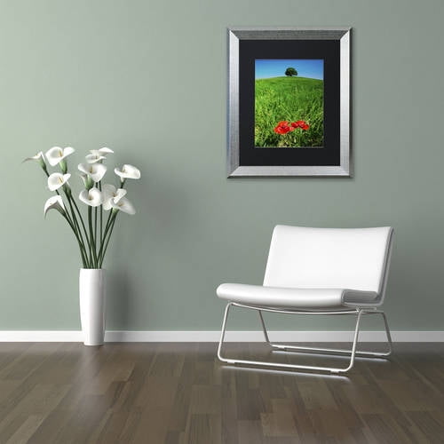 Trademark Fine Art 'Red Poppies and Oak' Canvas Art by Michael Blanchette Photography, Black Matte, Silver Frame