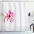 thumbnail image 1 of Ambesonne Almond Blossom Shower Curtain, Japanese Foliage, 69"Wx70"L, Pink White, 1 of 3