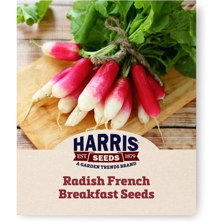 Harris Seeds French Breakfast Radish, Scarlet and White Heirloom Garden Variety, Treated, 250 Count