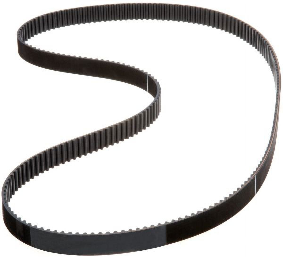 Timing Belt (PARITY)