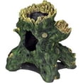 thumbnail image 1 of Exotic Environments Jumbo Hollow Tree Stump, 1 of 1