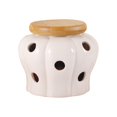 thumbnail image 1 of Japanese Style Garlic Keeper Hollow Out Portable Garlic Ginger Storage Box, 1 of 5