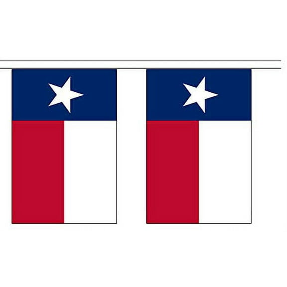 10' Texas String Flag Party Bunting Has 10 Texan 6"x9" Polyester Banner Flags Attached, Popular for School Classroom, Bars, Restaurants, World Cup Theme Parties