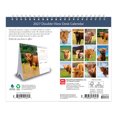 thumbnail image 2 of Highland Cows | 2027 7.5x6" Double-View Easel Desk Calendar, 2 of 9
