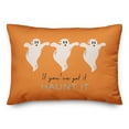 thumbnail image 2 of Creative Products Got It Haunt It 20 x 14 Spun Poly Pillow, 2 of 3