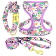 thumbnail image 5 of Pet Artist 3pcs Printed Dog Harness and leash and Personalized Dog Collar Set Custom Engraved, 5 of 5