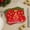 D, variant on Christmas Disposable Tableware Set 20 Counts Each, Xmas Red Paper Plates (7in/9in), Paper Cups, Paper Napkins, Merry Christmas Tree Bell Disposable Party Supplies for Holiday Dinner