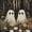 Wheat Black 03, variant on Homewish Western Witch Twin Bedding for Kids, Vintage Spooky Halloween Moon Bedding Comforter Set, Black Reversible, 7-Piece