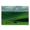 thumbnail image 2 of Landscape Cutting Board, Hills in the Rays of Evening Sun Agricultural Landscape Cloudy Sky Rainy Day Nature, Decorative Tempered Glass Cutting and Serving Board, Large Size, Green, by Ambesonne, 2 of 5