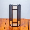 thumbnail image 5 of NCYP Small Metal Hexagon Shaped Enclosure Terrarium with Mesh, 4.9x4.3x9.4in, Home Indoor Tabletop Mini Insect Habitat, Terrarium Only, 5 of 13