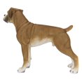 thumbnail image 3 of BOXER DOG STANDING, 3 of 5