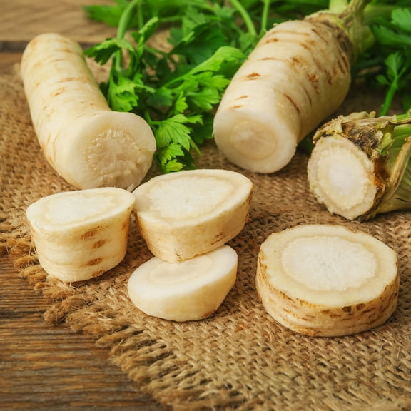 Parsley Seeds - Hamburg Rooted - 5 Lb ~120,000 Seeds - Petroselinum crispum - Culinary Herb Gardening & Microgreens Seeds - Non-GMO, Heirloom, Open Pollinated, Annual