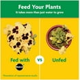 thumbnail image 5 of Miracle-Gro 1001193 Indoor & Outdoor Water Soluble All-Purpose Plant Food 10 lb., 5 of 5