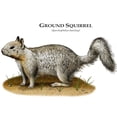 thumbnail image 3 of CafePress - Ground Squirrel Mug - 11 oz Ceramic Mug - Novelty Coffee Tea Cup, 3 of 6