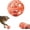Orange, variant on Hollow Dog Ball with Bell Inside - Interactive Chew Toy for Teeth Cleaning, Durable Rubber Fetch Ball for Puppy Training, Pets Chewing Play