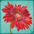 thumbnail image 2 of Pinto, Patricia 26x26 Gold Ornate Wood Framed with Double Matting Museum Art Print Titled - Joyful Daisy, 2 of 4