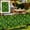 Artificial Hedge Fence Under $5 a3, variant on CQCYD Artificial Hedge Fence, 24x16 Inch Expandable Faux Leaf Privacy Panel, UV-Resistant Dense Greenery Screen, Lightweight Artificial Hedge Fence for Balcony Wall and Outdoor Decoration