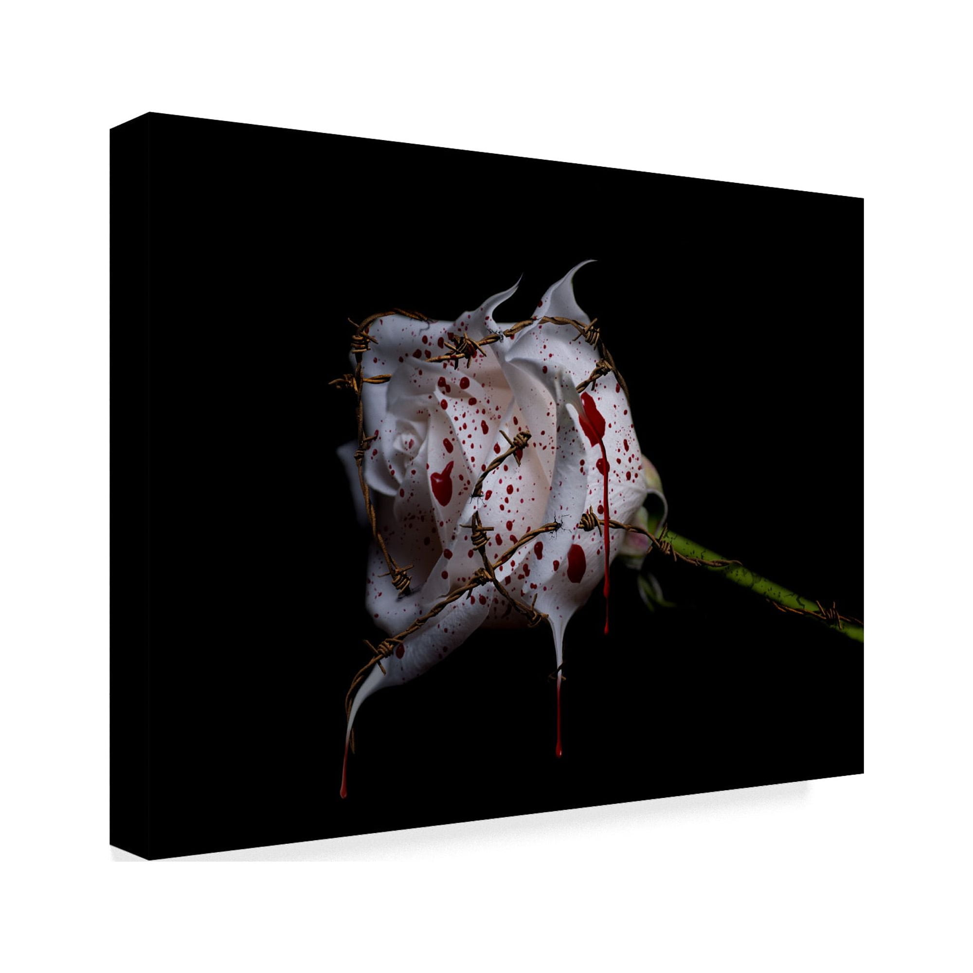 Trademark Fine Art 'Bleeding Rose' Canvas Art by Lori Hutchison