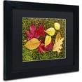 thumbnail image 2 of Trademark Fine Art "Leaves on Moss" Canvas Art by Michael Blanchette Photography Black Matte, Black Frame, 2 of 4