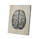 thumbnail image 1 of Toystoory Cuadro de estructura de cerebro de fibra, pintura educativa para interiores, escuela, enseñanza, ciencia, imagen, póster de decoración Decoración del hogar Toystoory HA010721-00, 1 of 1