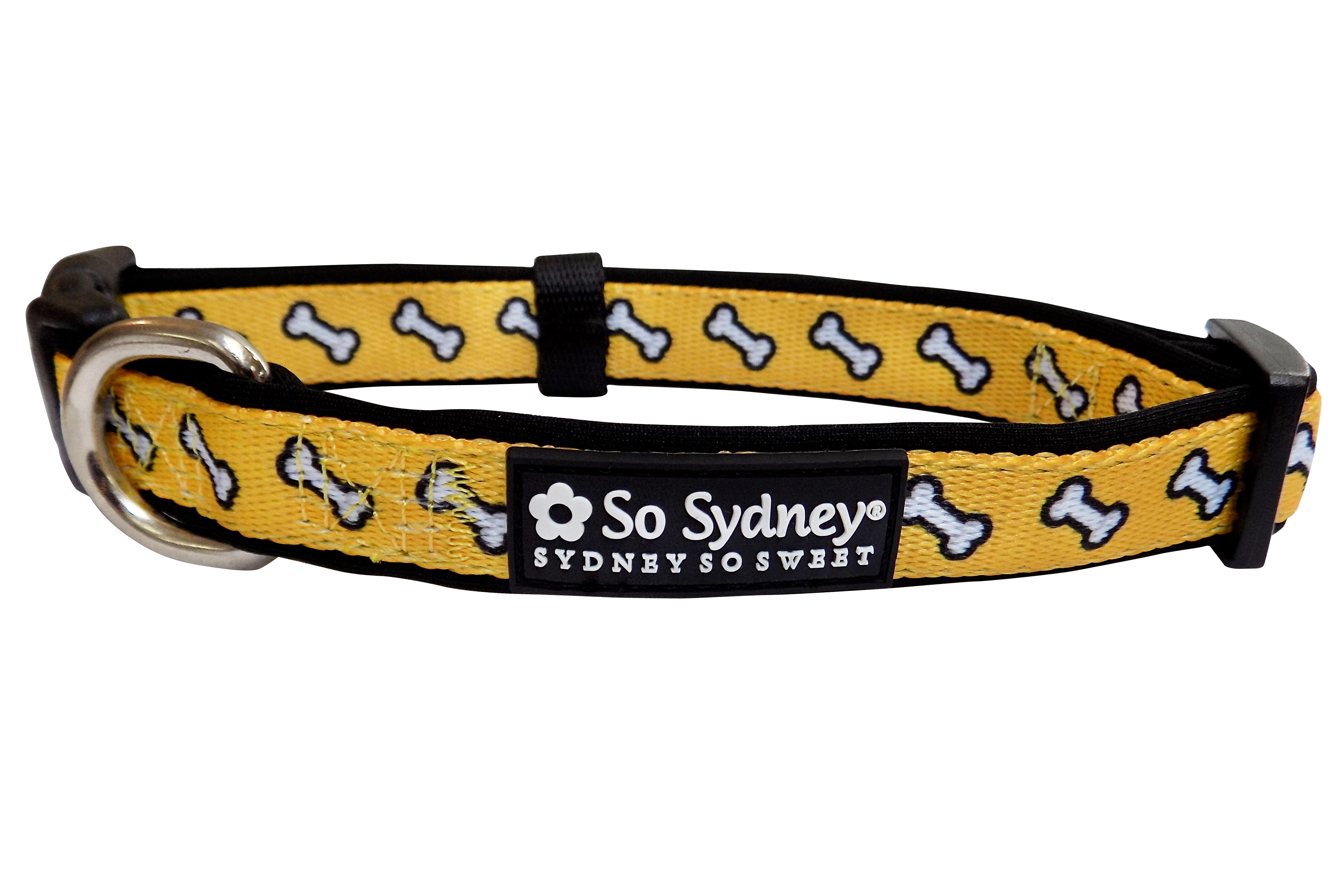 funky dog collars and leashes