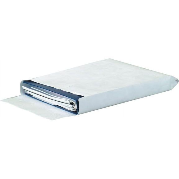 Tyvek Expandable Envelopes, 10" x 13" x 1 1/2", White, 100/Case (TYE10131WE)